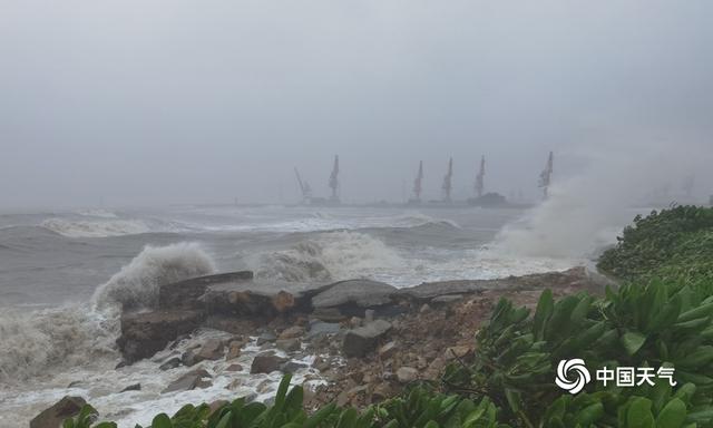 近5年来影响海南最强台风“圆规”来袭 组图告诉你海南的风有多大-幽兰花香